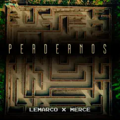 Perdernos Song Lyrics