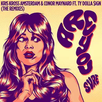 Are You Sure? (feat. Ty Dolla $ign) [The Remixes] - EP by Kris Kross Amsterdam & Conor Maynard album download
