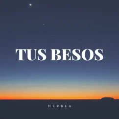 TUS BESOS - Single by Herbea album reviews, ratings, credits