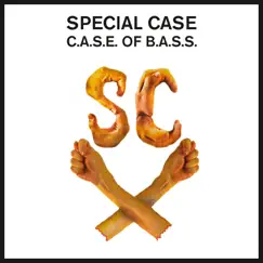 Case of Bass Song Lyrics