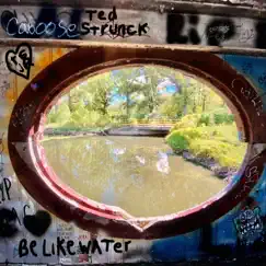 Be Like Water by Ted strunck album reviews, ratings, credits