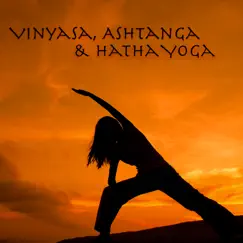 Vinyasa, Ashtanga & Hatha Yoga – Easy Listening Music for Yoga & Meditations by Yoga Waheguru album reviews, ratings, credits