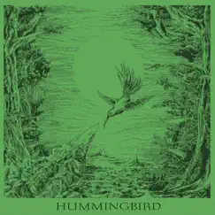 Hummingbird - Single by Lady album reviews, ratings, credits