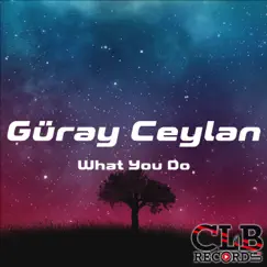 What You Do - Single by Güray Ceylan album reviews, ratings, credits