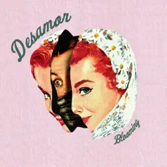 Desamor - Single by Blooming album reviews, ratings, credits