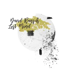 Lost Mind (Kapoor Remix) Song Lyrics