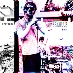 Numbskullz - Single by Spiteful album reviews, ratings, credits