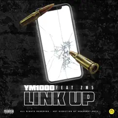 Link Up (feat. ZM5) Song Lyrics