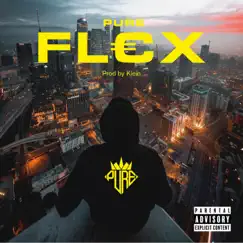 FLEX - Single by Pure album reviews, ratings, credits