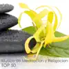 Top 50 Música de Meditación y Relajacion - 50 Musicas Relajantes para Descansar, Dormir y Soñar album lyrics, reviews, download