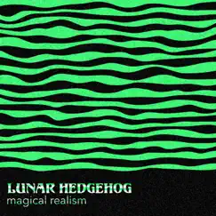 Magical Realism - EP by Lunar Hedgehog album reviews, ratings, credits