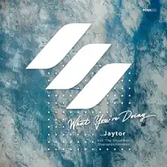 What You're Doing - Single by Jaytor, The Distance & Sharapov album reviews, ratings, credits