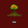 Familiar With My Roots (Remix) - Single [feat. Mazyn] - Single album lyrics, reviews, download