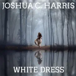 White Dress - Single by Joshua C. Harris album reviews, ratings, credits