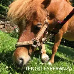 Tengo Esperanza - Single by Horse Tales album reviews, ratings, credits