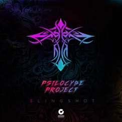 Slingshot - Single by Psilocybe Project album reviews, ratings, credits