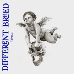 Different Breed - Single by DeSosa album reviews, ratings, credits