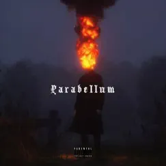 Parabellum Song Lyrics