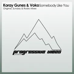Somebody Like You - Single by Koray Gunes & Voko album reviews, ratings, credits