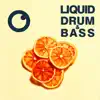 Liquid Drum & Bass Sessions 2021 Vol 44 album lyrics, reviews, download