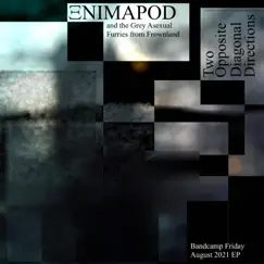 Two Opposite Diagonal Directions - EP by Enimapod album reviews, ratings, credits