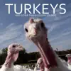 Turkeys and Other Thanksgiving Sounds album lyrics, reviews, download