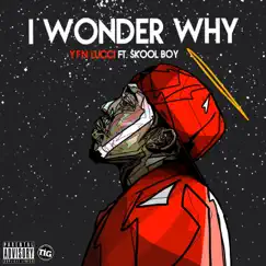 I Wonder Why (feat. Skool Boy) Song Lyrics
