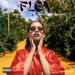 Flex Song Lyrics