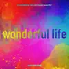 Wonderful Life (Klub Rider Remix) - Single album lyrics, reviews, download