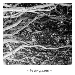 Si Vis Pacem - Intro - Single by La K y la B album reviews, ratings, credits