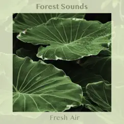 Fresh Air by Forest Sounds album reviews, ratings, credits