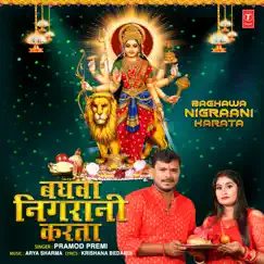 Baghawa Nigraani Karata Song Lyrics