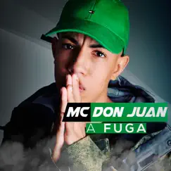 A Fuga - Single by Mc Don Juan & Dj R7 album reviews, ratings, credits