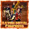 Haydn Metal Concerto - Single album lyrics, reviews, download