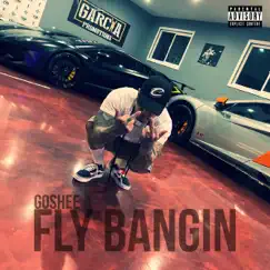 Fly Bangin - Single by Goshee album reviews, ratings, credits