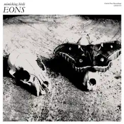 Eons by Mimicking Birds album reviews, ratings, credits
