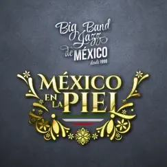 México en la Piel - Single by Big Band Jazz de México album reviews, ratings, credits