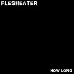 How Long - Single by FLESHEATER album reviews, ratings, credits