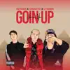 Goin up (feat. Crizzito & Lynner) - Single album lyrics, reviews, download