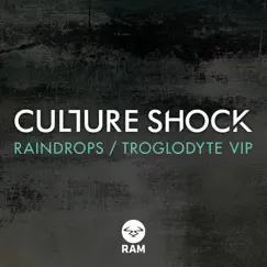 Raindrops / Troglodyte VIP - Single by Culture Shock album reviews, ratings, credits