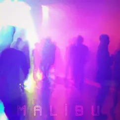 Malibu - Single by Bazra album reviews, ratings, credits