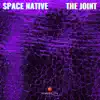 The Joint - Single album lyrics, reviews, download