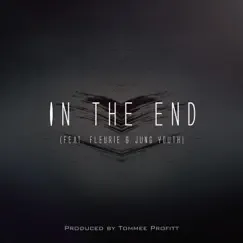 In the End (feat. Fleurie) [Mellen Gi Remix] Song Lyrics