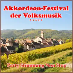 Akkordeon Festival Der Volksmusik - Party Stimmung Non Stop - Accordion by Horst Wende's Accordeon Band album reviews, ratings, credits