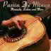 Pasión de México: Traditional Mexican Mariachi, Bolero & More album cover