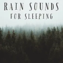 Rain Sounds Forecast Song Lyrics