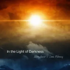In the Light of Darkness - Single by Sherry Finzer & Darin Mahoney album reviews, ratings, credits