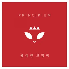 ZeoM with you project vol.3 - Single by Principium album reviews, ratings, credits