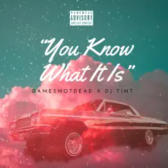 You Know What It Is - Single by DamesNotDead & Dj Tint album reviews, ratings, credits