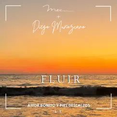 Fluir (Amor Bonito y Pies Descalzos) [feat. Diego Muñozcano] - Single by Mer album reviews, ratings, credits